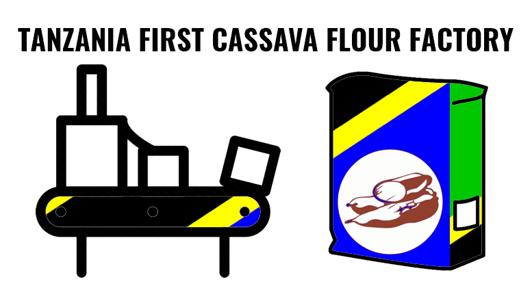 Tanzania cassava flour factory