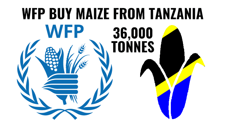 WFP buy maize from Tanzania