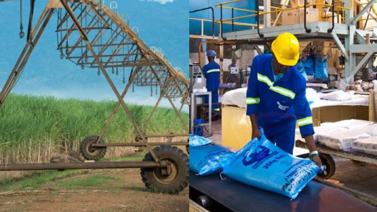 Tanzania Kilombero Sugar Factory