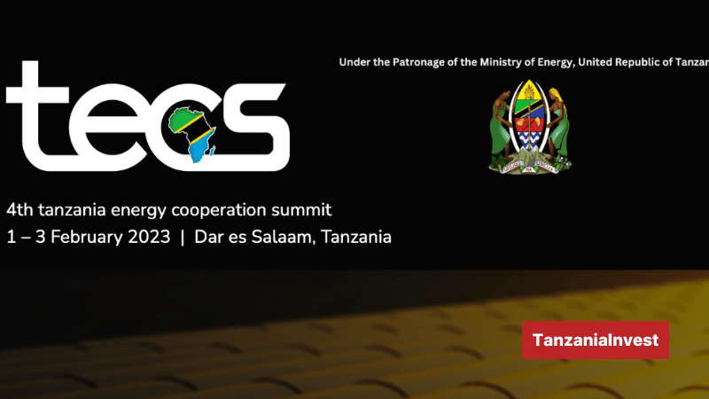 Tanzania Energy Cooperation Summit 2023