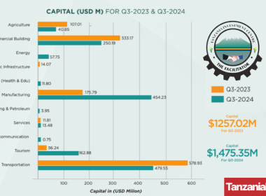 Tanzania FDI Investments Q1 2024