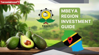 Tanzania Mbeya Region Investment Guide