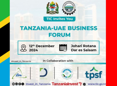 Tanzania-UAE Business Forum 2024