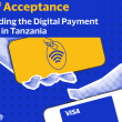 Tanzania Visa Report Digital Payments